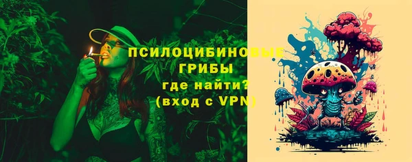 кокс Вяземский