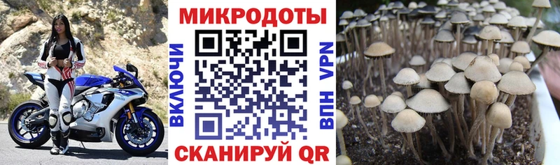 OMG ТОР  Ижевск  Псилоцибиновые грибы ЛСД  дарнет шоп 